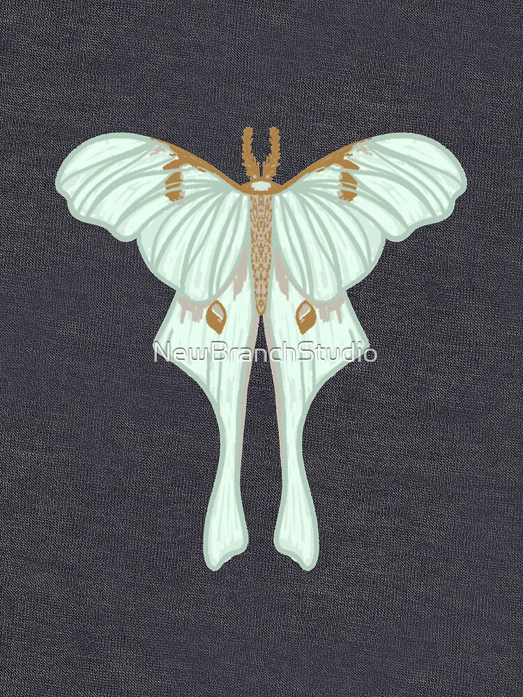 Hand drawn Luna moth by NewBranchStudio
