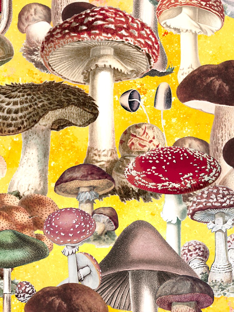 Vintage mushrooms exotic garden, shrooms and fungi, botanical pattern, mushrooms illustration, seamless pattern, yellow pattern trendy by ZeinabTaha