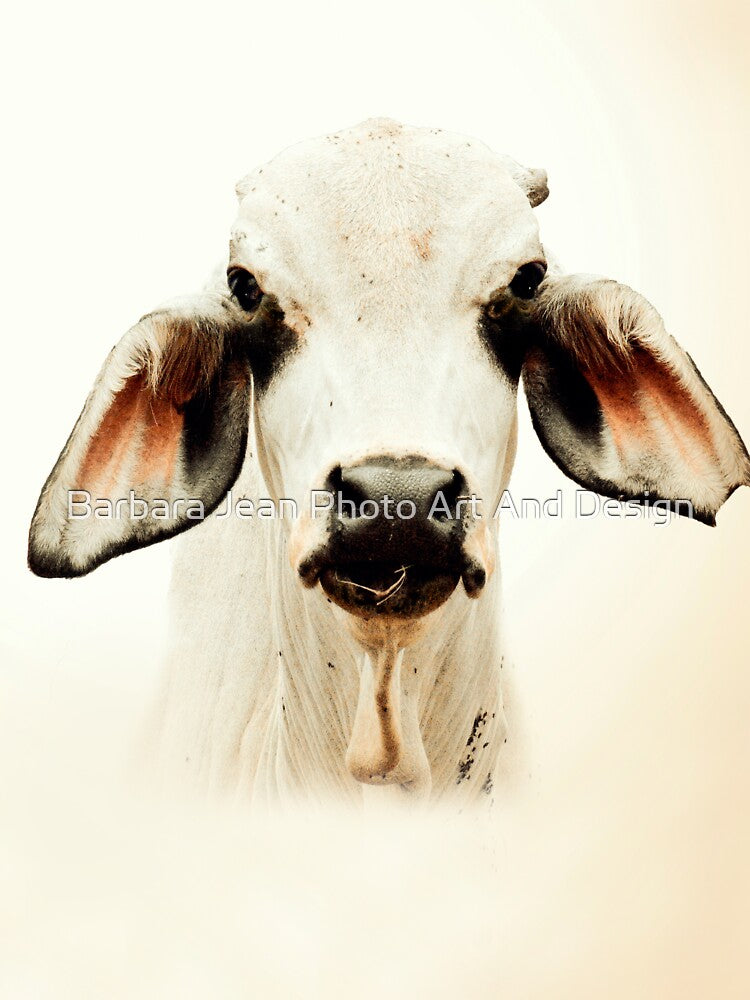 BRAHMAN CATTLE, FOR COUNTRY THEMED WALL DECOR by Barbara Jean Photo Art And Design