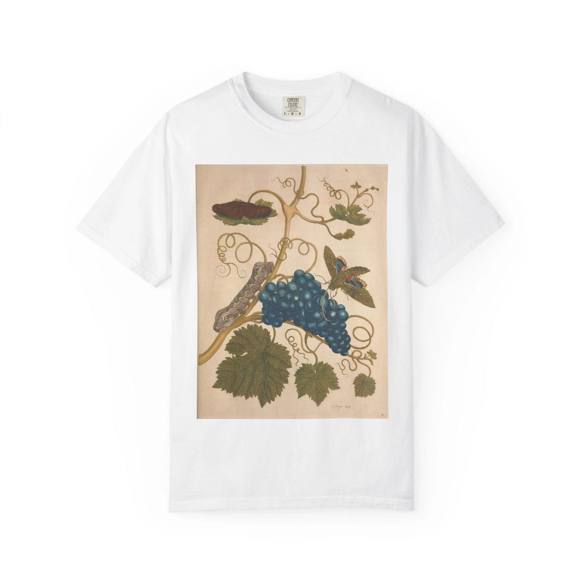 Vintage Grape Vine Illustration T-shirt Fruit Art Moth Caterpillar Butterfly