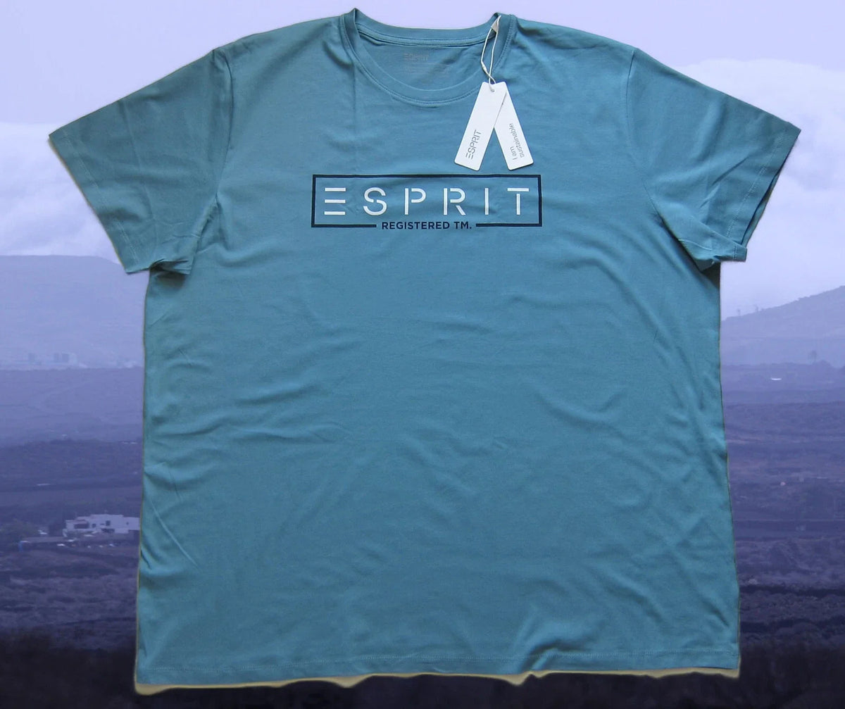 Esprit Mens 3XL, 4XL Turquoise, Dove Blue, Cotton, Cotton Unisex