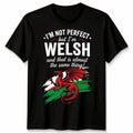 Welsh Dragon Slogan I Am Welsh Nationality Clothing Mens Womens T Shirt Tee Unisex