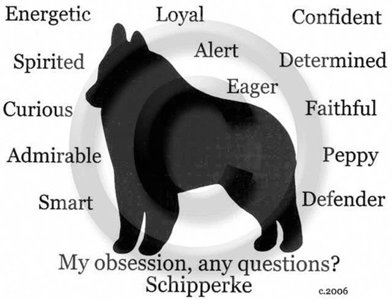 Schipperke Dog My Obsession, Any Questions? Choices Unisex