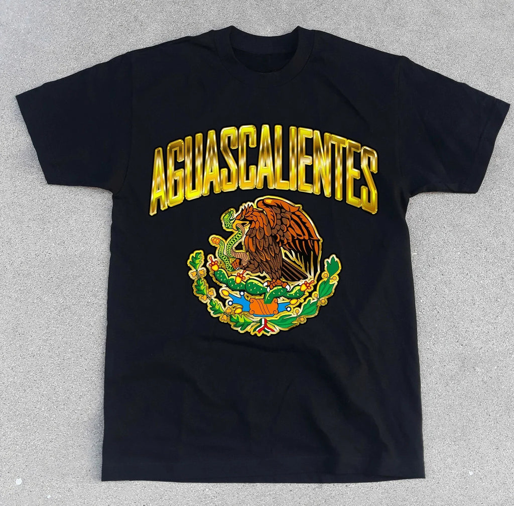 Mexico AGUASCALIENTES State Shirt. Mexican Flag Eagle Soccer Futbol City NEW! Unisex