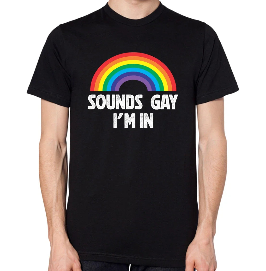 Sounds Gay I'm In Men Women Unisex Top Unisex