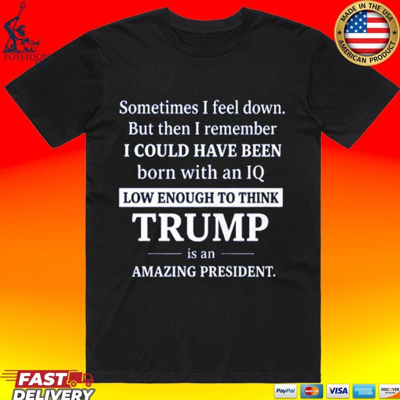 Sometimes I Feel Down But Then I Remember IQ Low Trump Unisex