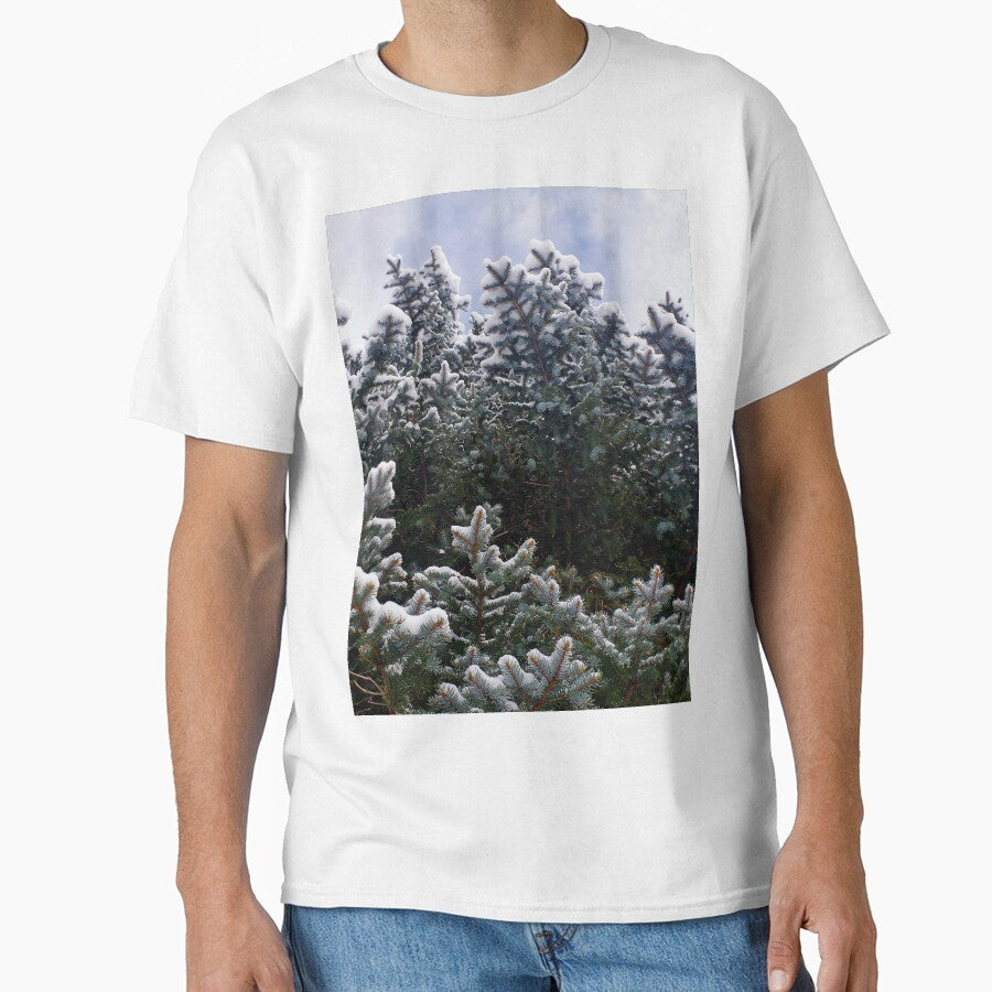 Snowy Spruce Branches by VikingVisual