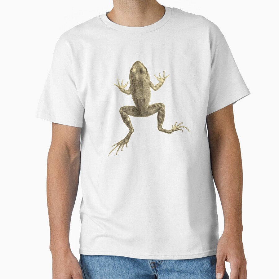 Scientific Illustration of a Frog by bookishneighbor