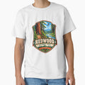 Redwood National Park California National Park Travel Hiking Adventure by Star3NowForMe