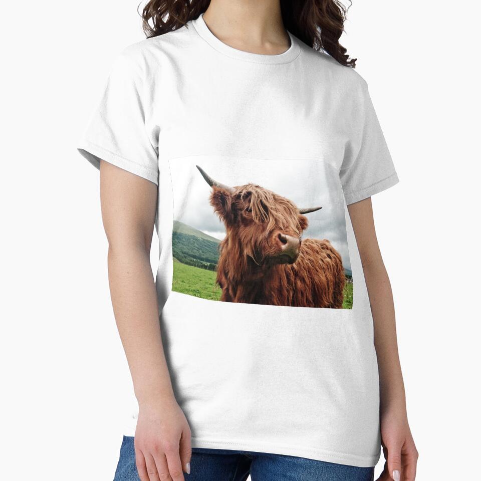 Highland Cow On A Farm by AnimalLover4eva