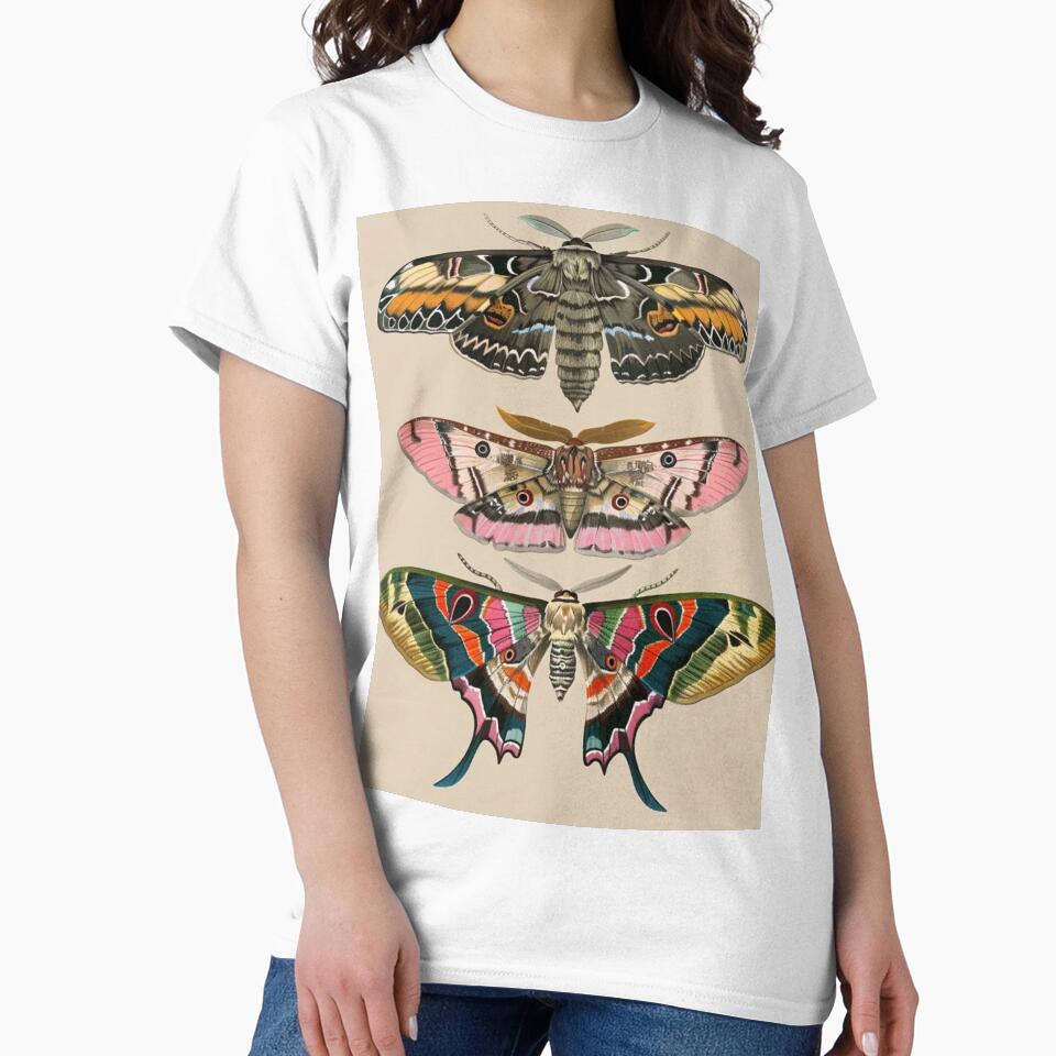 Moth trio by PaperieJennifer