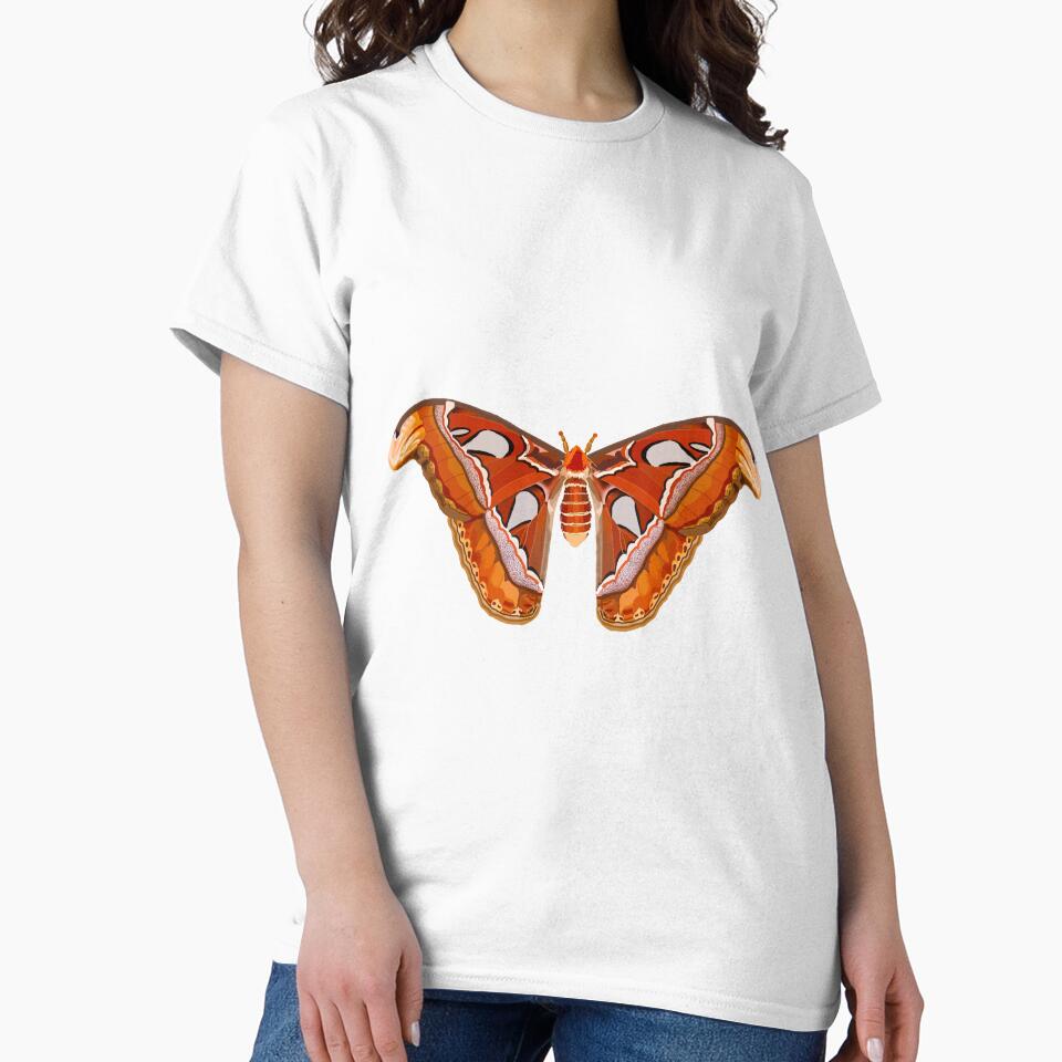 Atlas Moth Art Sticker by Katlligraphy