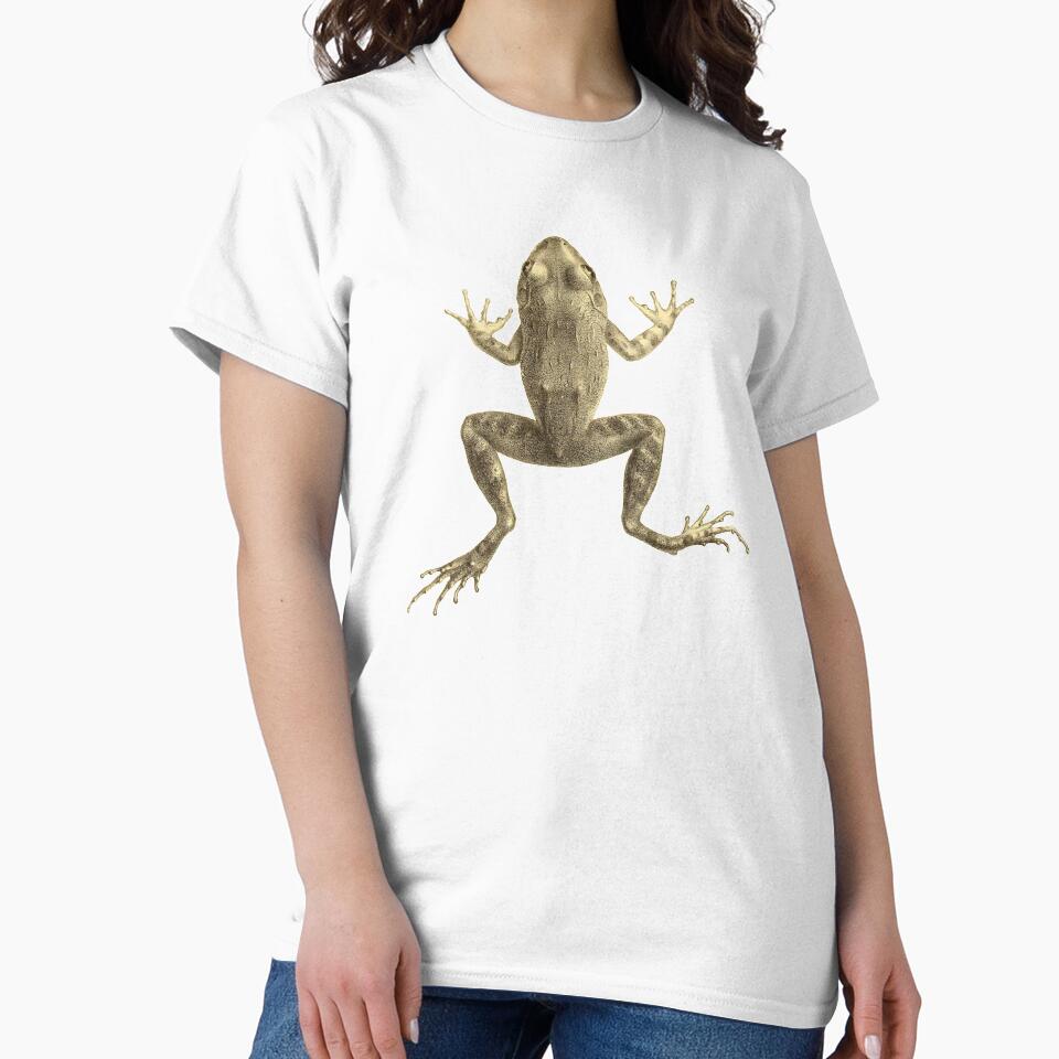 Scientific Illustration of a Frog by bookishneighbor