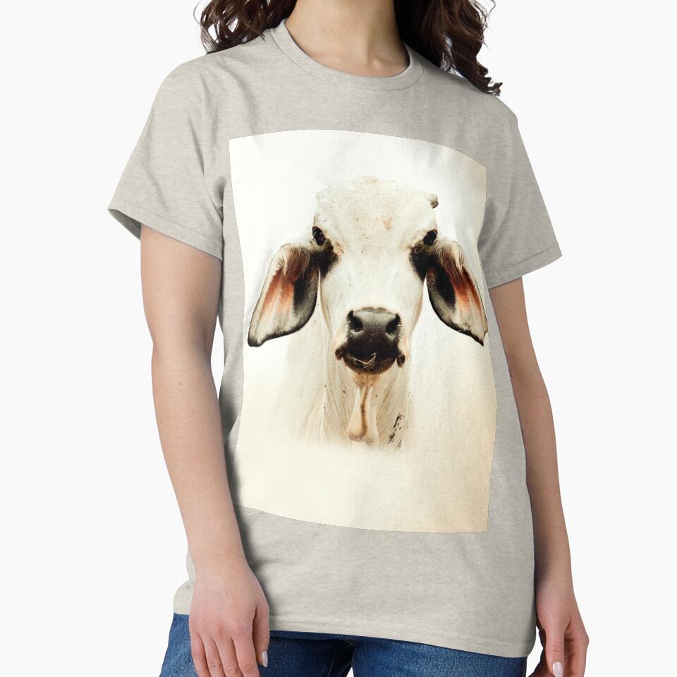 BRAHMAN CATTLE, FOR COUNTRY THEMED WALL DECOR by Barbara Jean Photo Art And Design