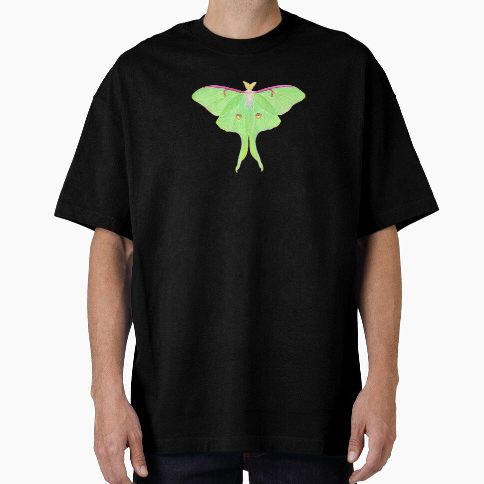 Luna moth by ColorSplendor