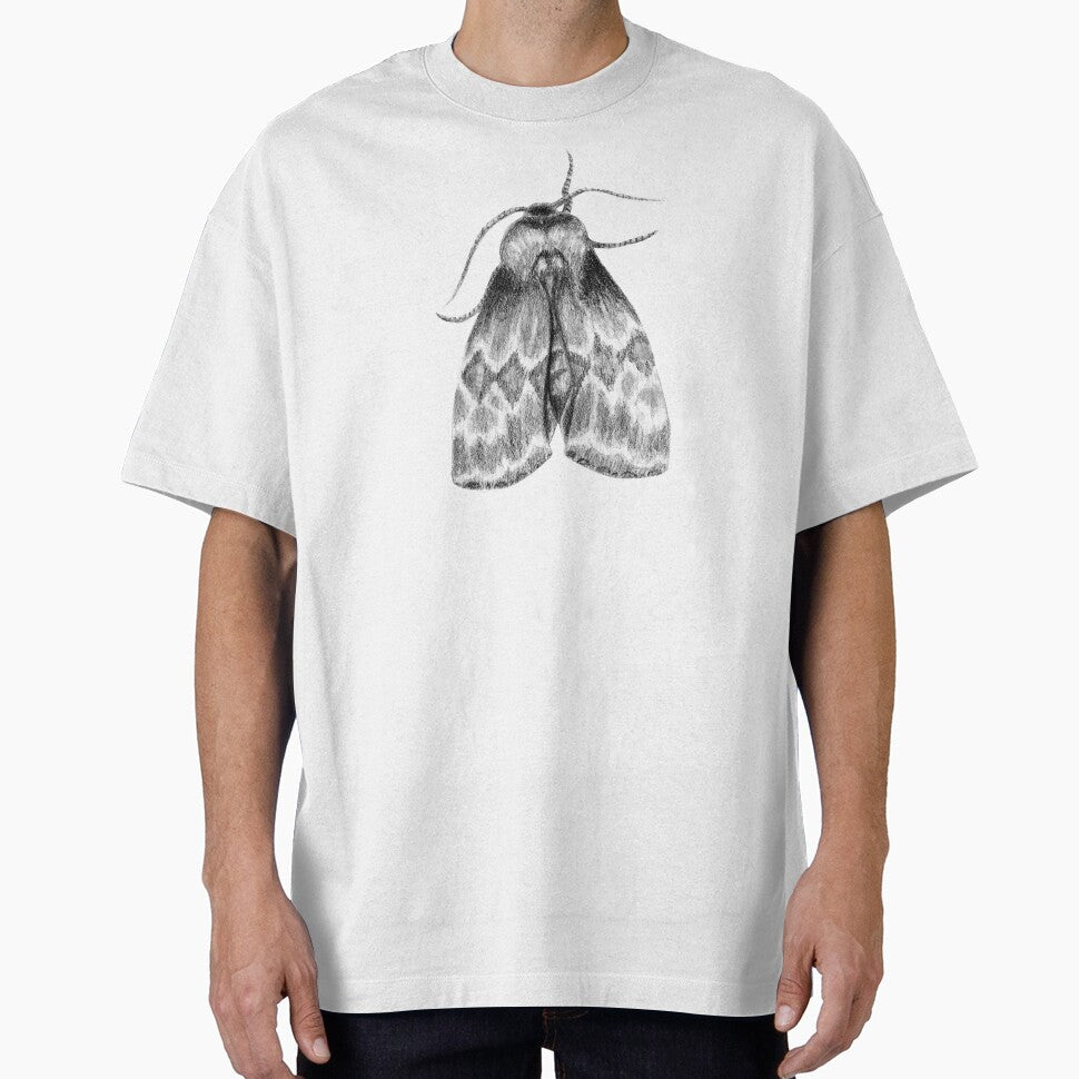 Moth Insect Pattern Pencil Drawing by Ivy Lily Art