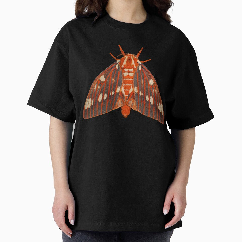 Regal Moth Citheronia regalis Realistic Style by Harpagann