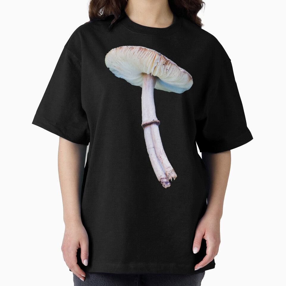 Double-stemmed Graceful Parasol Mushroom by Maddy the Maker