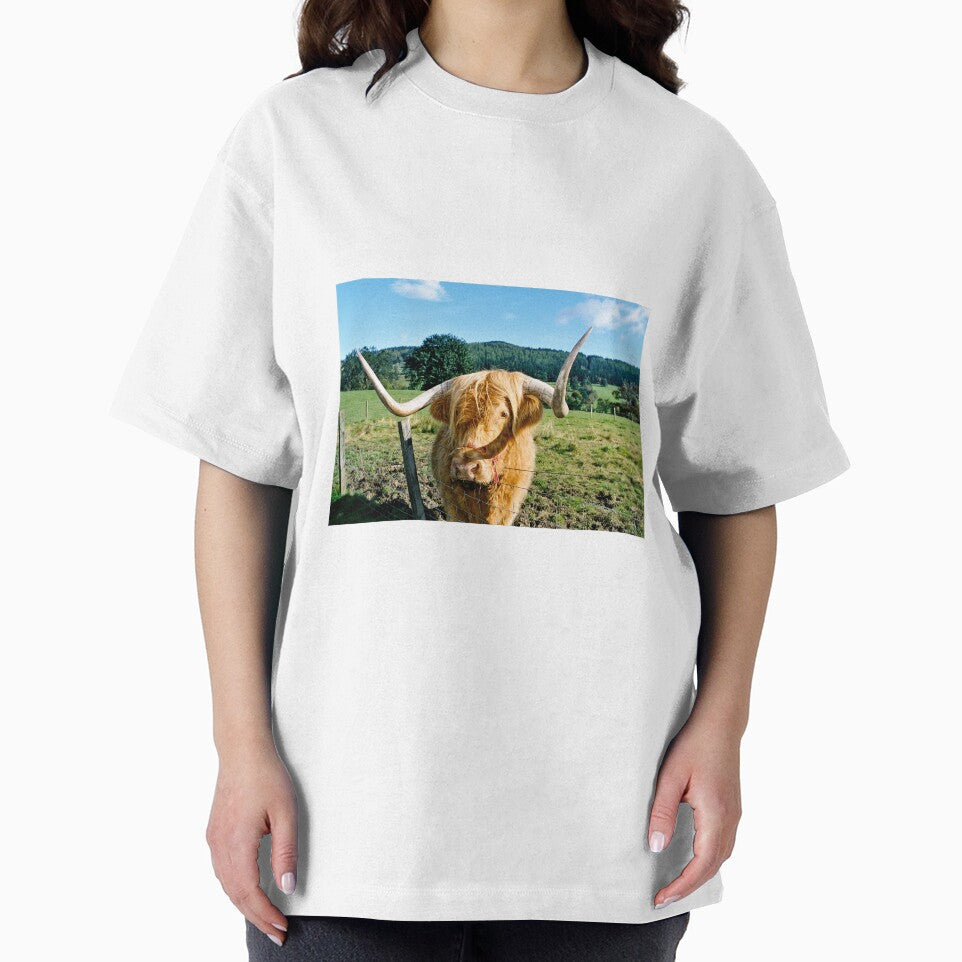 Scottish Highland cow by Photogold Photo Gifts