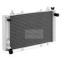 Aluminum Radiator 19202-112G-0000 Fits for HiSun UTV 400 450 for Massimo Knight 400 for Coleman Outfitter 450