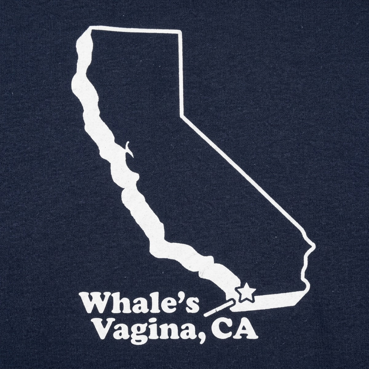 Whale's Vagina, CA San Diego Funny Map